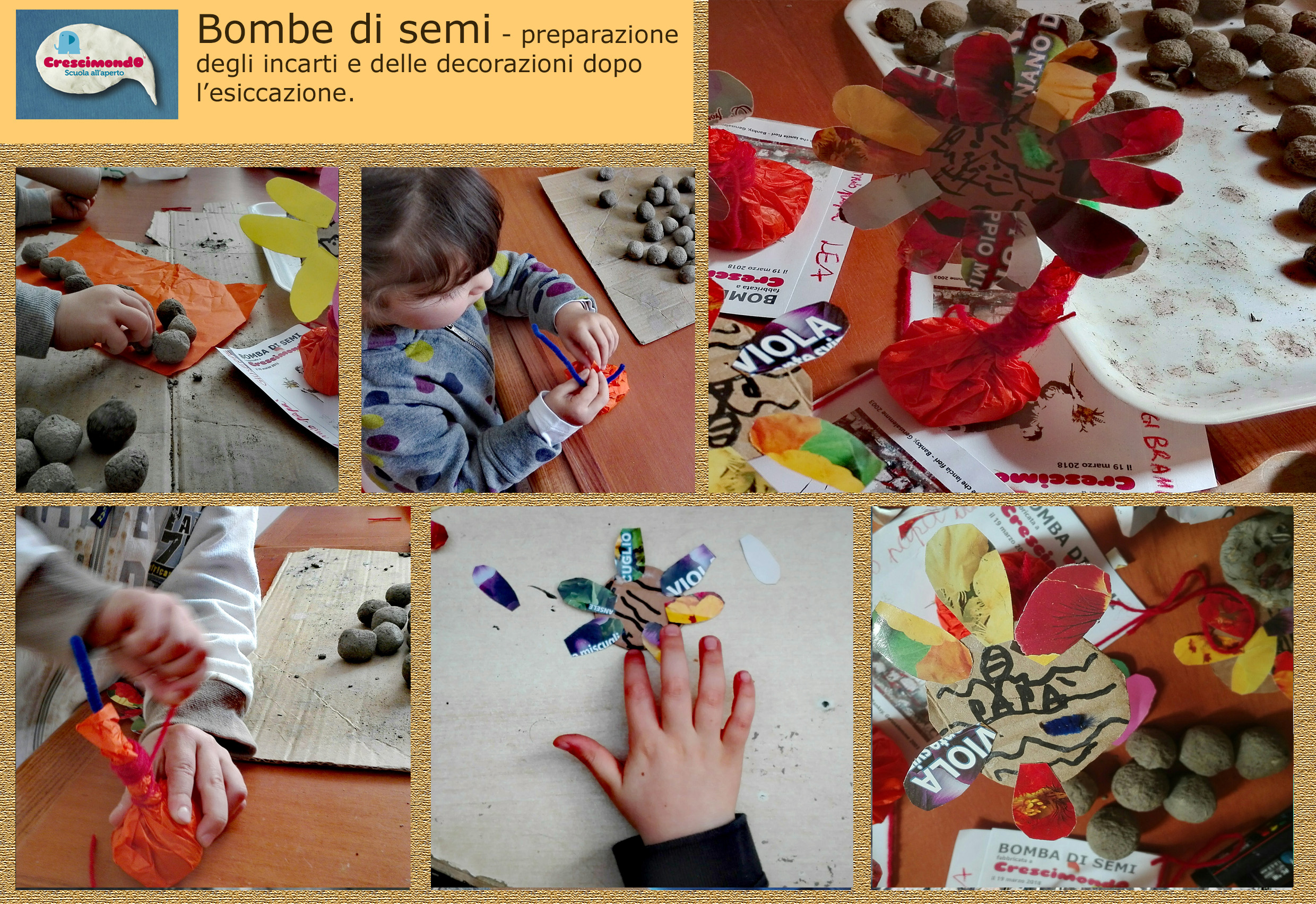 tavola3bombasemi